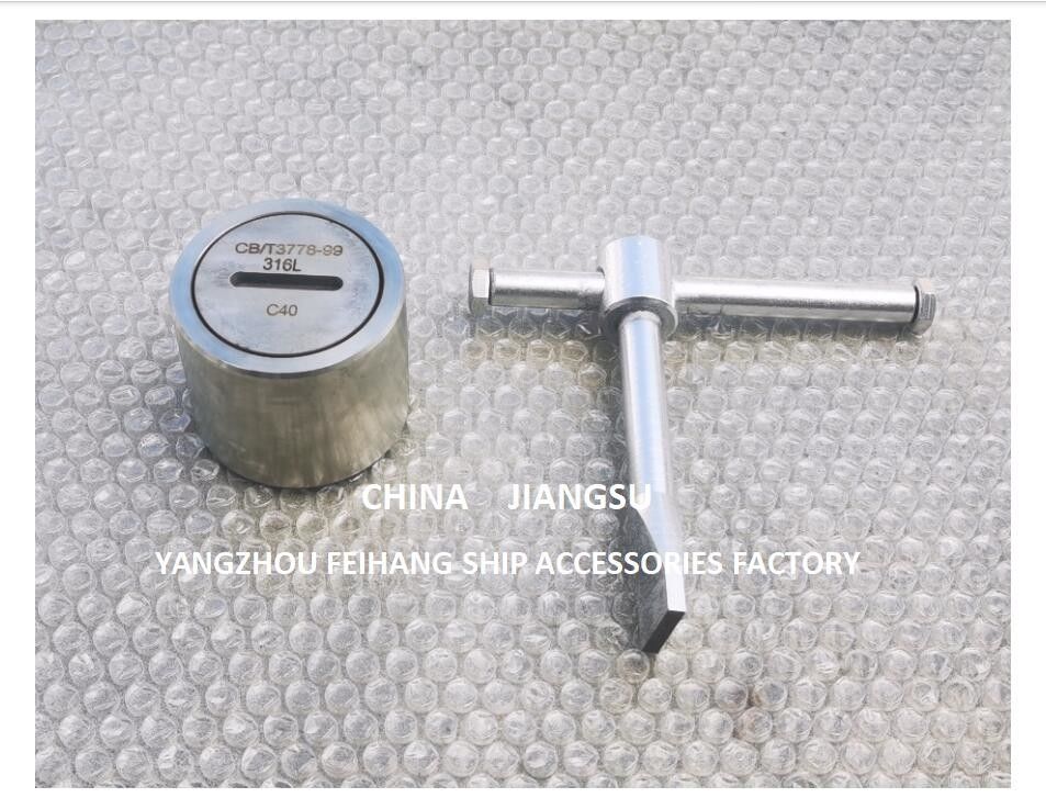 Plug de sonorização de combustível com anel O, material de aço inoxidável modelo C40 Cb/T3778-99