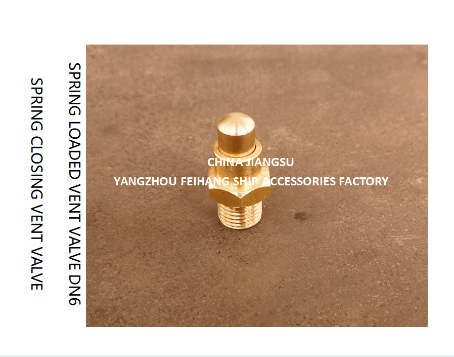 DN6 Brass Spring Loaded Vent Valve with CB/T3778-1999 Standard and Self Closing Function