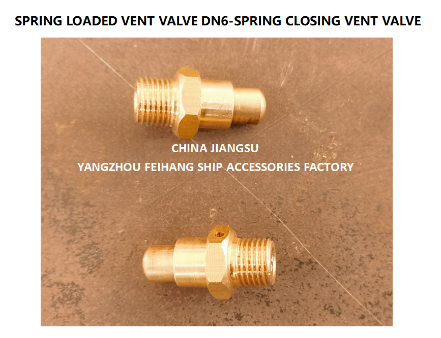 DN6 Spring Loaded Vent Valve with Threaded End Compliant with CB/T3778-1999 Standard