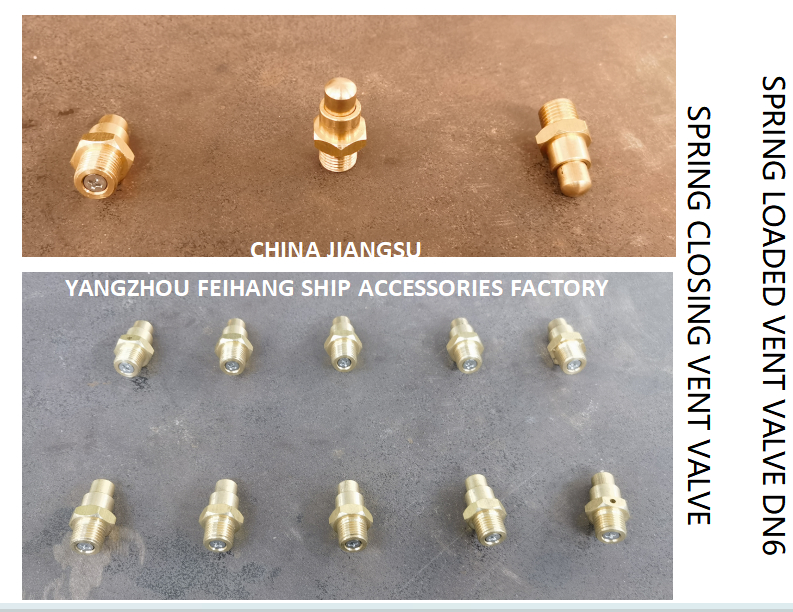 DN6 Size Spring Loaded Vent Valve with Threaded Connection Compliant to CB/T3778-1999 Standard