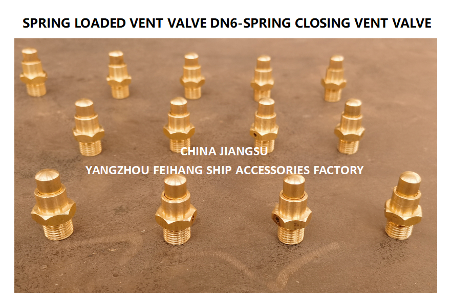 DN6 Brass Spring Loaded Vent Valve with Threaded Ends and CB/T3778-1999 Standard