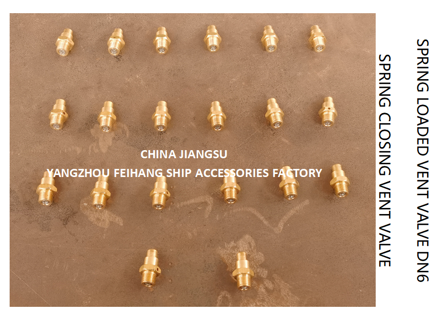 DN6 Brass Spring Loaded Vent Valve with Threaded Ends Compliant to CB/T3778-1999 Standards