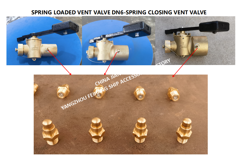 DN6 Brass Spring Loaded Vent Valve with Threaded Ends Compliant to CB/T3778-1999 Standards