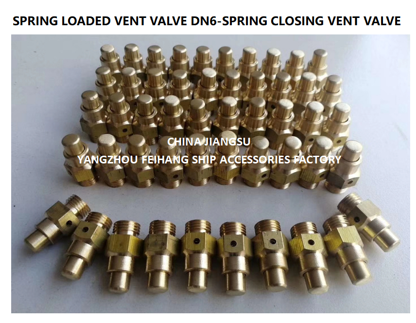 DN6 Spring Loaded Vent Valve with Thread M13 Connection Compliant with CB/T3778-1999 Standard
