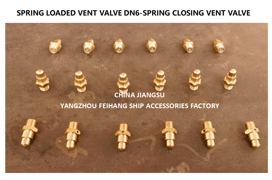 DN6 Spring Loaded Vent Valve with Thread M13 Connection Compliant with CB/T3778-1999 Standard